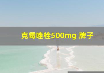 克霉唑栓500mg 牌子